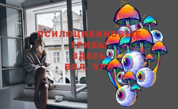 эйфоретик Алексин